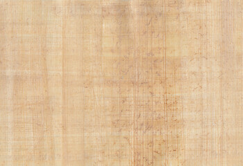 Horizontal papyrus. Traditional Egyptian paper made from the pith of the papyrus plant . Old paper from Egypt. It's similar to thick paper and in use as writing material for more than 5000 years. 