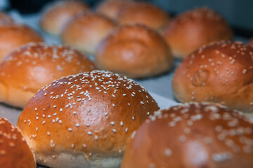 Lots of hamburger buns. Sprinkled with sesame seeds. Bakery and production. Selective focus. Close up view