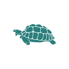 Turtle design vector illustration, Creative Turtle logo design concepts template, icon symbol