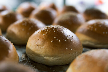 Lots of hamburger buns. Sprinkled with sesame seeds. Bakery and production. Selective focus