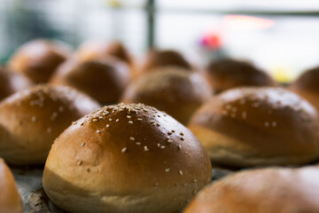 Lots of hamburger buns. Sprinkled with sesame seeds. Bakery and production. Selective focus