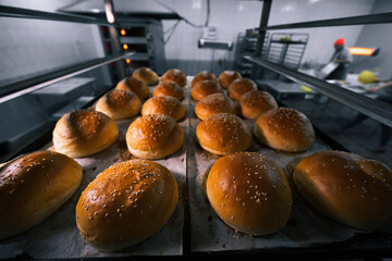 hamburger buns cool on shelves, baking sheet. Bakery production. large amount. Orders for products. Bake. Selective focus