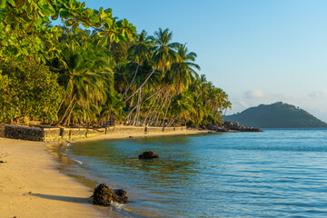 Coastline with sandy beach and palm trees on a tropical island