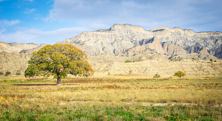 Fototapeta na wymiar Iconic tree in autumn colors with stunning rock formations in background.VAshlovani national park