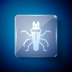 White Termite icon isolated on blue background. Square glass panels. Vector.