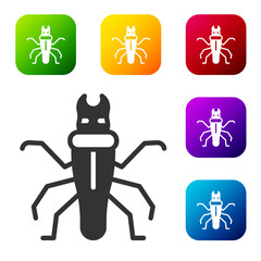 Black Termite icon isolated on white background. Set icons in color square buttons. Vector.