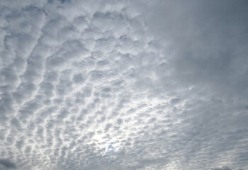 Fototapeta premium Sky replacement or backdrop