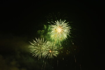 fireworks explosive on dark sky in night