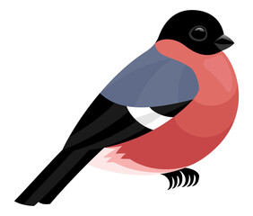 Illustration with cute bullfinch icon isolated on white background.