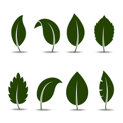 Leaf icon set isolated on white background. Collection of leaf icons for logo, poster, placard and wallpaper. Creative art concept. Leaf vector illustration