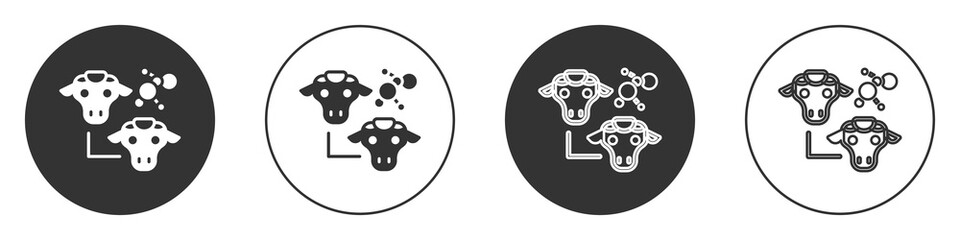 Black Cloning icon isolated on white background. Genetic engineering concept. Circle button. Vector.