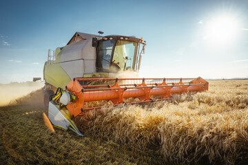 Combine harvester harvests ripe wheat. Concept of a rich harvest. Agriculture image