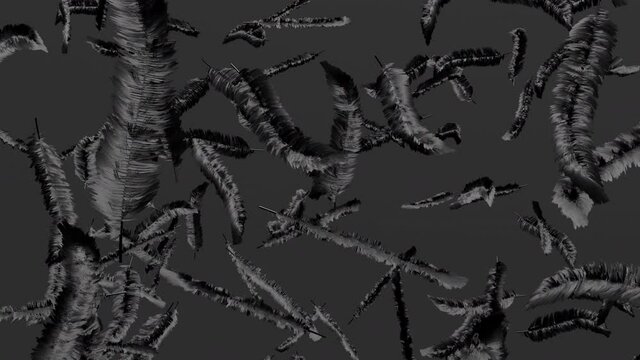 舞い落ちる不気味な黒い羽根