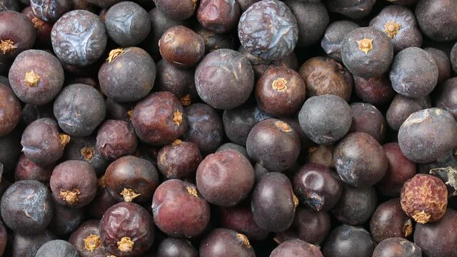 Dried juniper berries close up full frame as background