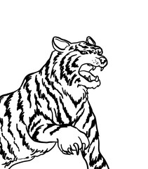 Obraz na płótnie Canvas Simple tiger line art illustration