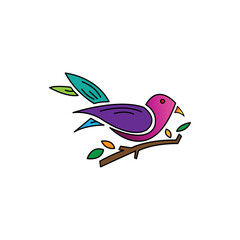 bird logo color illustration design vector template clip art