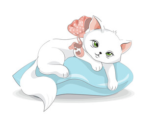white cat on pillow