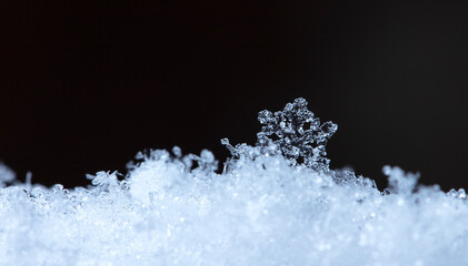 snowflake, little snowflake on the snow
