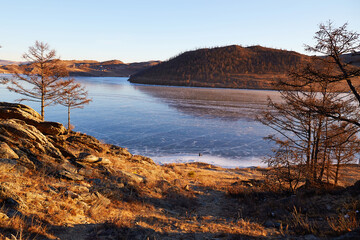 Lake Baikal in December. View of the frozen Kurkut Bay. Larch trees on the lake shore.