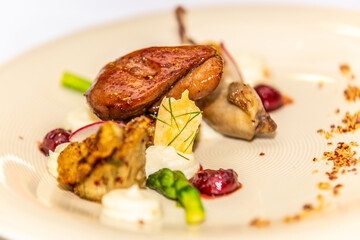 Caramelized goose liver with side dish on plate. Food styling and restaurant meal serving.