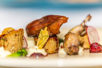 Caramelized goose liver with side dish on plate. Food styling and restaurant meal serving.