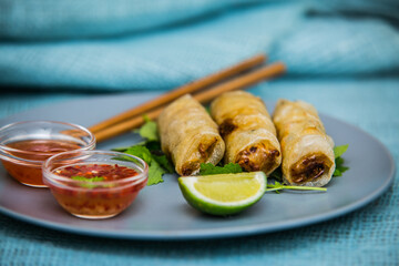 Spring rolls stuffed with meat with sauce and lemon. The food in the restaurant. Food styling and restaurant meal serving.