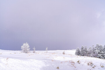 【冬イメージ】厳冬期の雪原