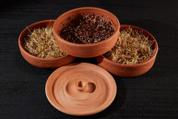 Healthy food. Sprouted sprouts of wheat and lentils in earthenware on a black background
