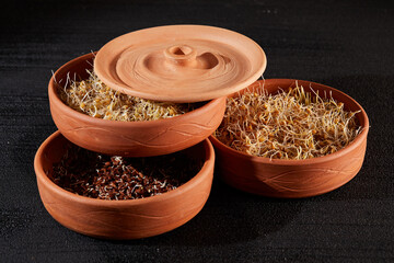 Healthy food. Sprouted sprouts of wheat and lentils in earthenware on a black background