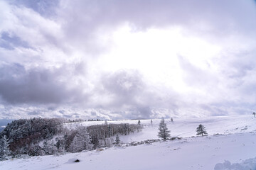 【冬イメージ】厳冬期の雪原