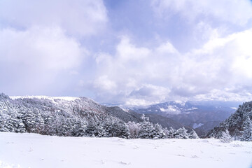 【冬イメージ】厳冬期の雪原
