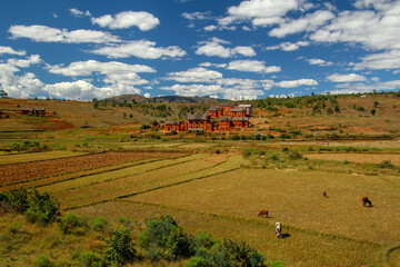 Obraz premium madagaskar