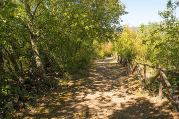 The landscape close to the Roselle or Rusellae Archaeological area near Grosseto in Tuscany, Italy
