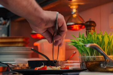 Chef adding finishing touch on dish , close-up.