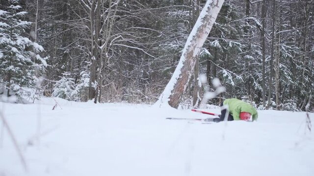 Cross country skier falls in the forest. Young man works out in the snowy winter forest with skating ski and falls