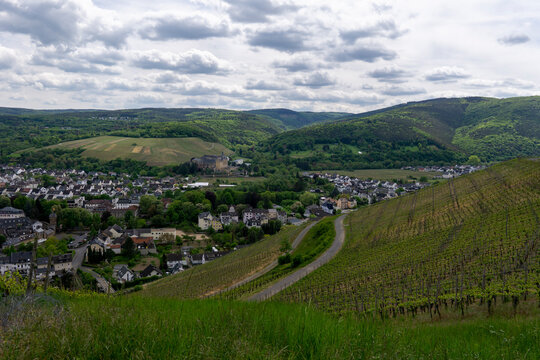 Wandern im Ahrtal &uuml;ber Ahrweiler auf dem Rotweinwanderweg