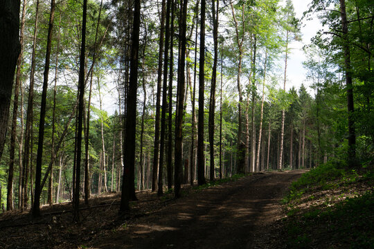 Wandern im Ahrtal &uuml;ber Ahrweiler auf dem Rotweinwanderweg