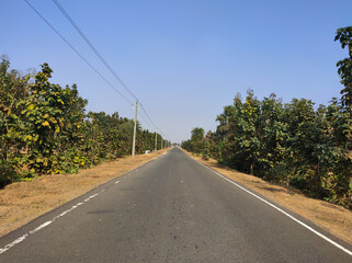 road in the desert