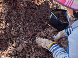 a farmer preparing soil for grow rice in dry land, rubber boots and tools for choping soil, asian agriculture and framing,  Organic farming and spring gardening concept