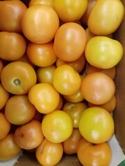 yellow and green tomato 