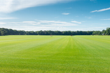 Carefully maintained lawn at a  turf nursery near  Venlo, the Netherlands
