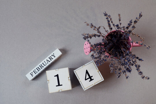 Calendar for February 14: pink watering can with lavender flowers on a purple-gray background, cubes with the numbers 1 and 4, the name of the month in English "February", place for text, top view