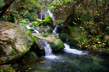 wonderful waterfalls of the cypress forest of fontegreca - obrazy, fototapety, plakaty
