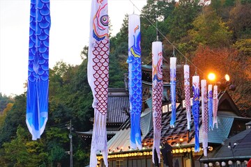 Colorful carp streamer, Koinobori, on children's day in Yamaguchi, Japan - カラフルな鯉のぼり こどもの日	