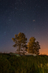 Fototapeta na wymiar Night sky over trees