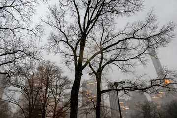 New York City - USA - Dec 16 2020: Winter Snow Storm Hits Central Park New York City