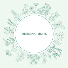 A set of medicinal herbs and plants. Collection of hand drawn flowers and herbs. Botanical plant illustration. Vintage medicinal herbs sketch. 