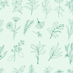 Medicinal herbs seamless pattern. A set of medicinal herbs and plants. Collection of hand drawn flowers and herbs. Botanical plant illustration. Vintage medicinal herbs sketch. 