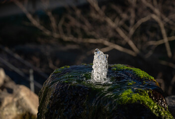 縄手通り　若返りの水