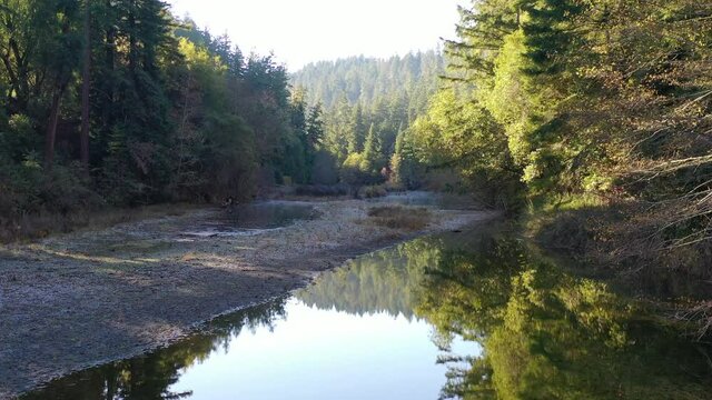 A dry stream bed runs through a forest in Northern California. Streams and rivers in this area are often seasonal due to winter rains.